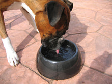 Load image into Gallery viewer, Splash &amp; Go Carbon Fiber Dog Bowl