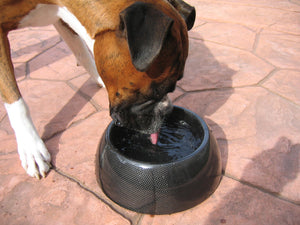 Splash & Go Carbon Fiber Dog Bowl
